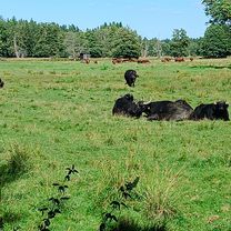 Photo 7 of the Bikemap route "Josephshof-Falkenberg-Gumpen"