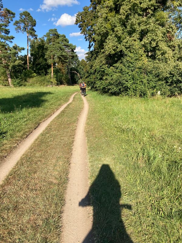 Břeclavská, Lednice - Valtice, Valtice