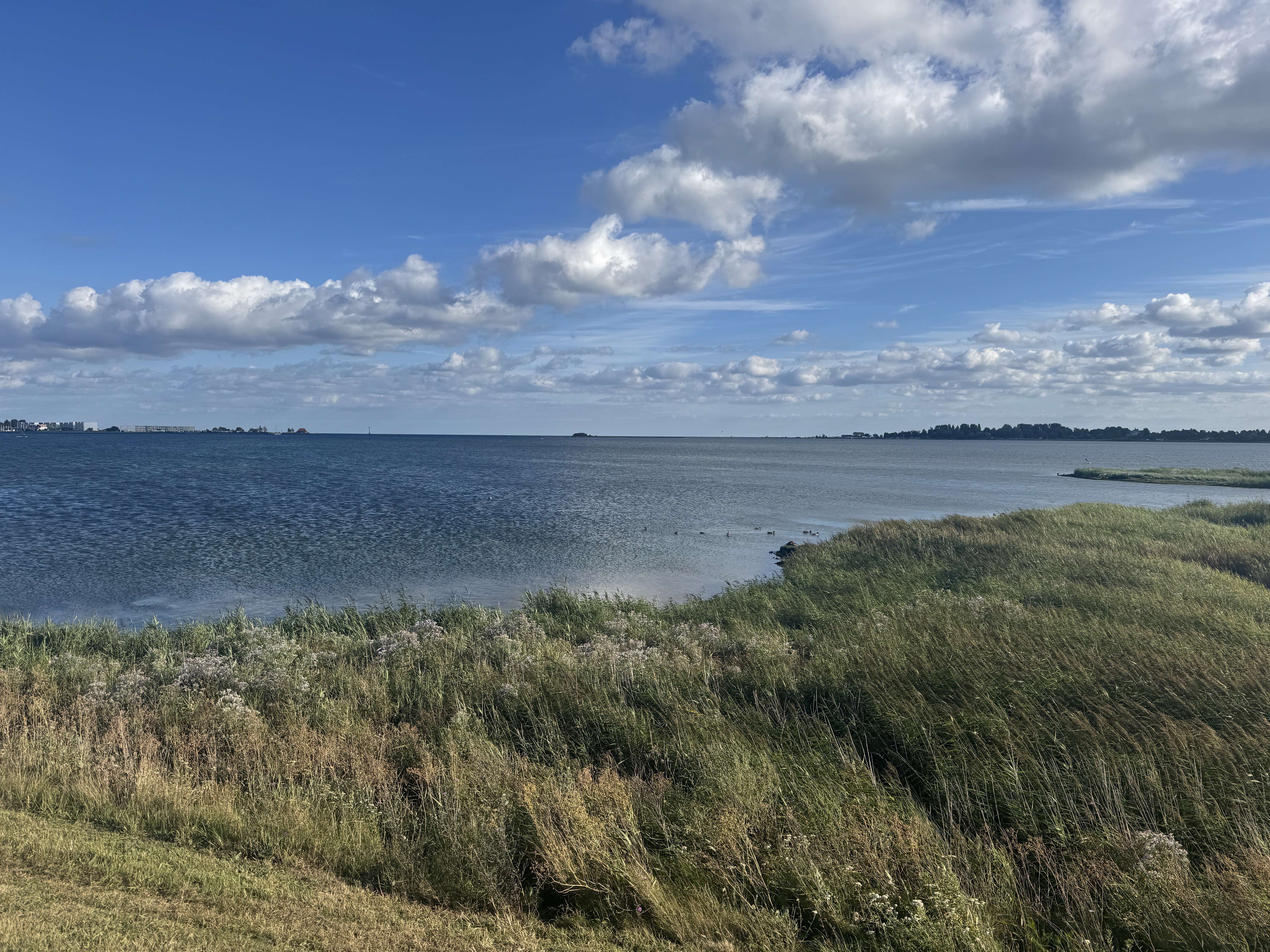 Südstrand, Großenbrode nach Fehmarn, Südwestküste, burg, steilküste und zurück, Großenbrode