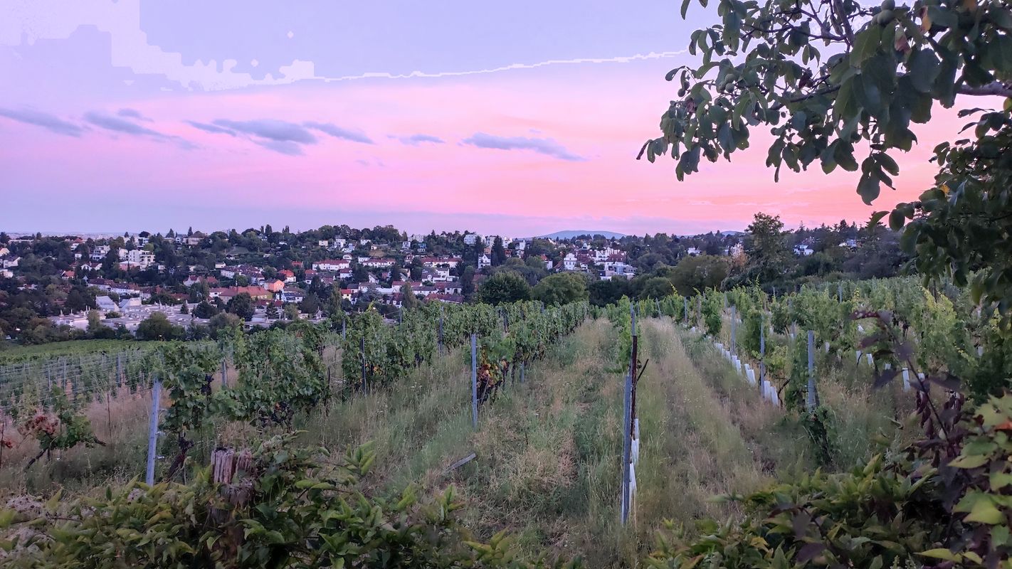 Krapfenwaldgasse 65-73 nach Michaelerwaldweg