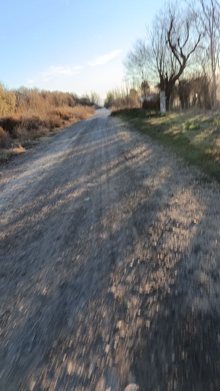 De Enrique Sosa a Juan José Paso