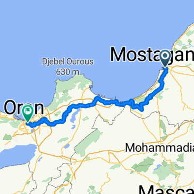 توكلت على الله