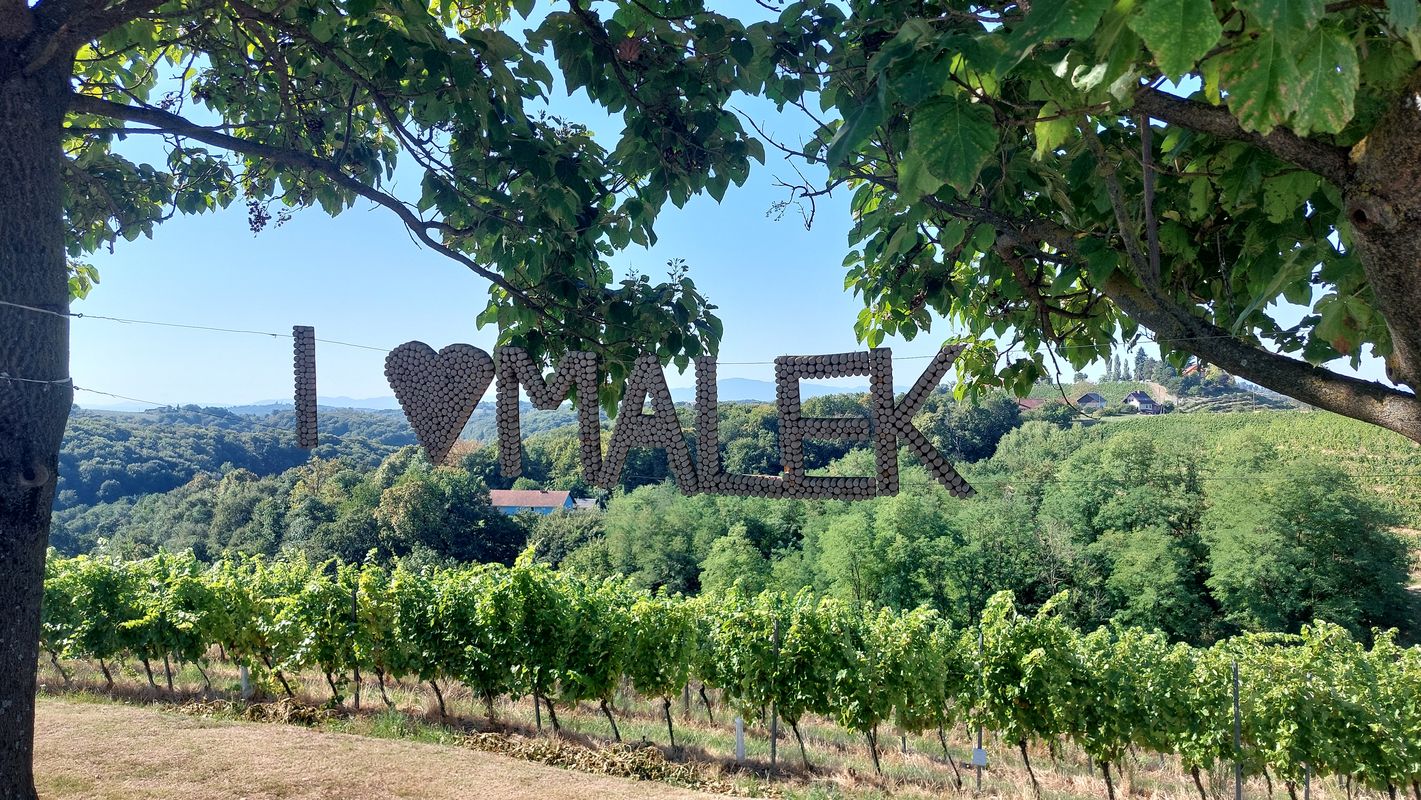 Ptujska cesta nach Ptujska cesta