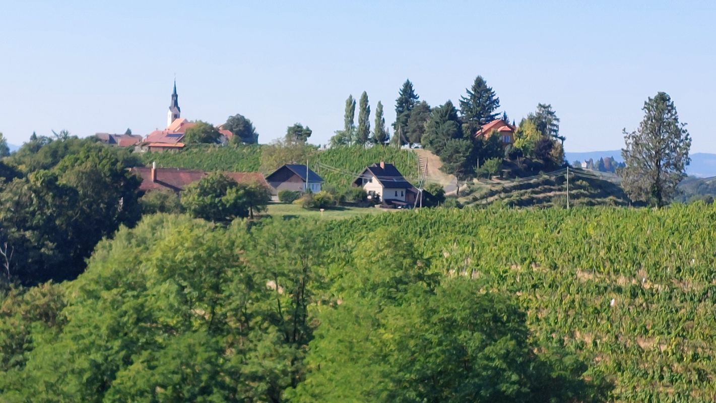 Ptujska cesta nach Ptujska cesta