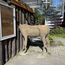 Dampsagvegen, Lillehammer nach Bryggerigata, Lillehammer