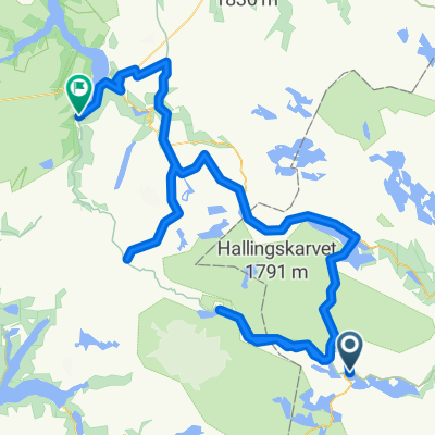 Haugastøl, Finse, Hallingseid, Flåm