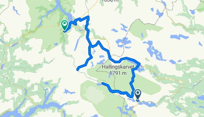 Haugastøl, Finse, Hallingseid, Flåm