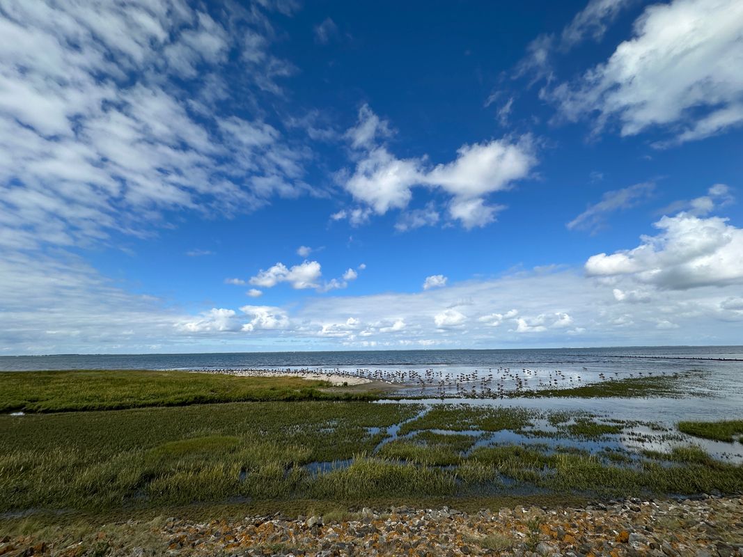 Neuharlingersiel - Bensersiel