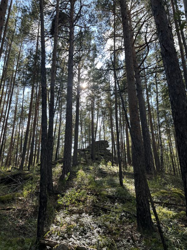 Вокруг Тургояка (по часовой)