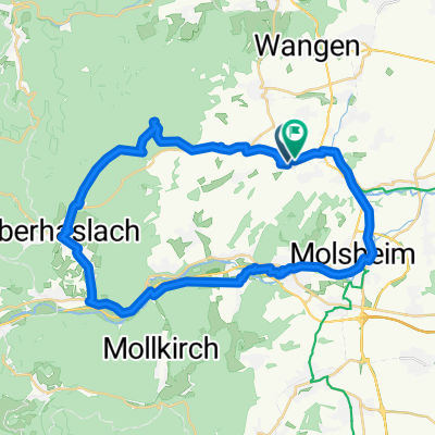 Molsheim-Elmerforst-Molsheim 38Km