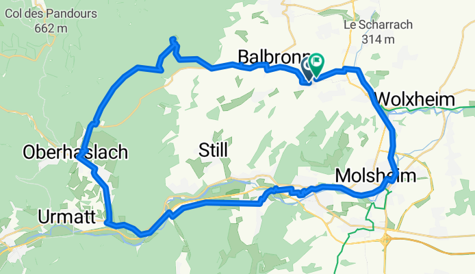 Molsheim-Elmerforst-Molsheim 38Km
