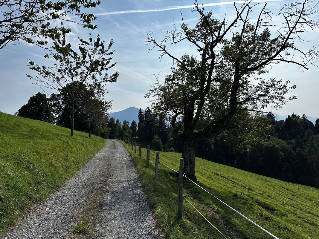 Fuchsloch, Oberwil b. Zug nach Fuchsloch, Oberwil b. Zug