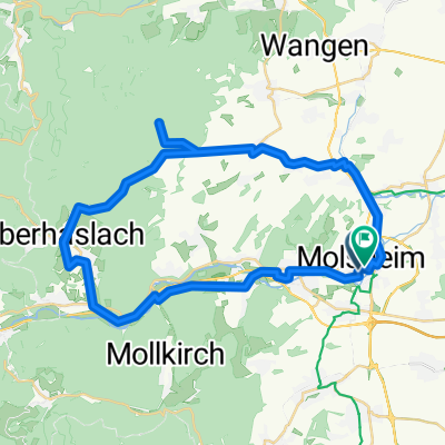 Molsh-Rte Elmerforst-Molsh