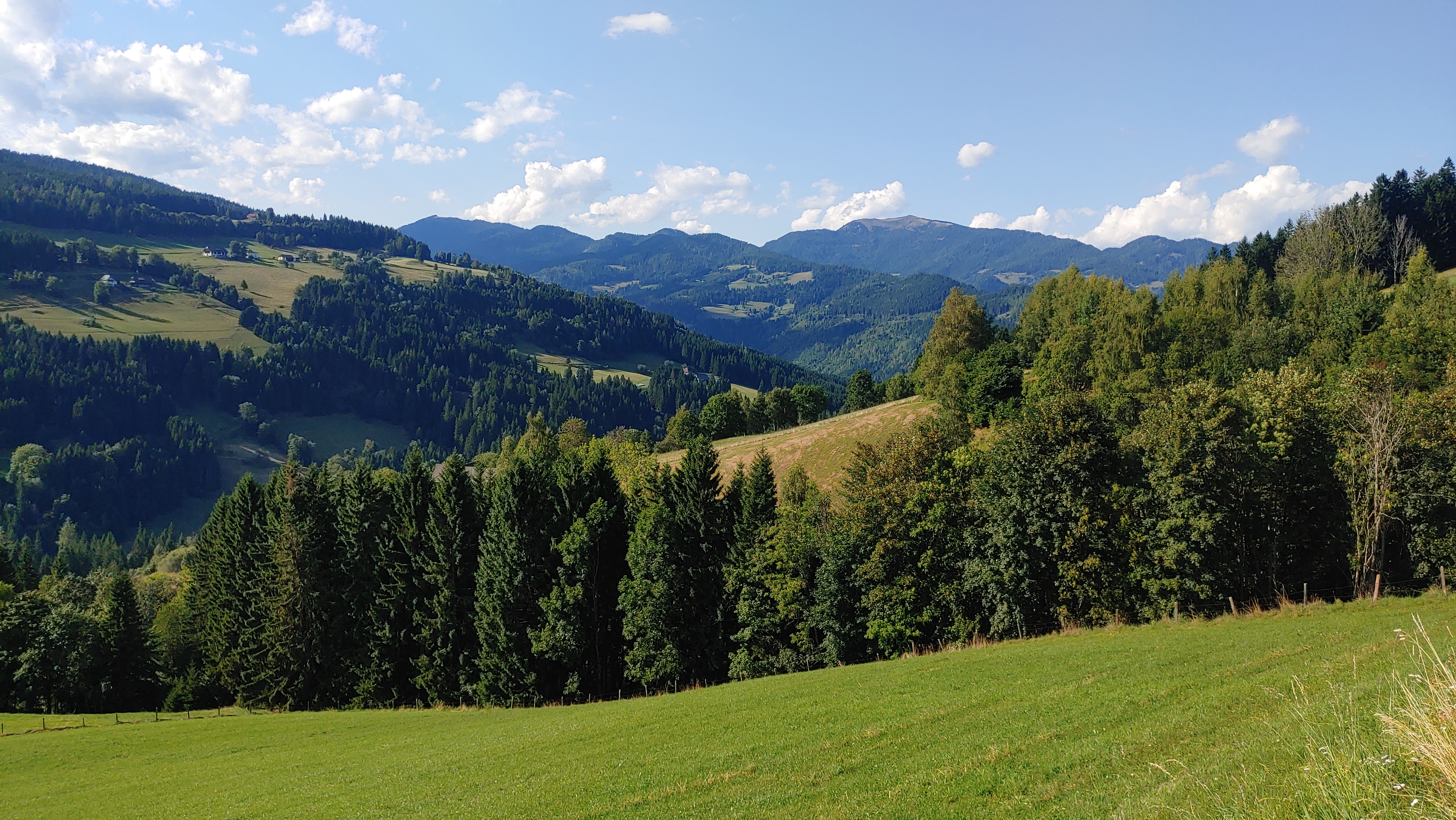 Herd nach Prekover Landesstraße