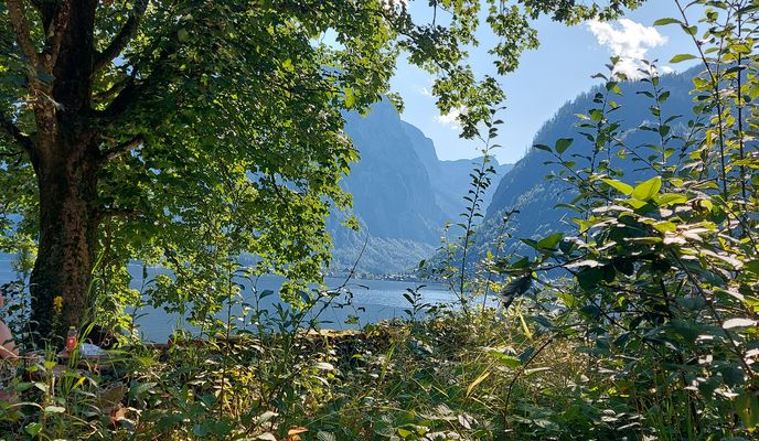 Foto 2 der Bikemap-Route "Hallstättersee Entspannte Route" Foto 2 der Bikemap-Route "Hallstättersee Entspannte Route"