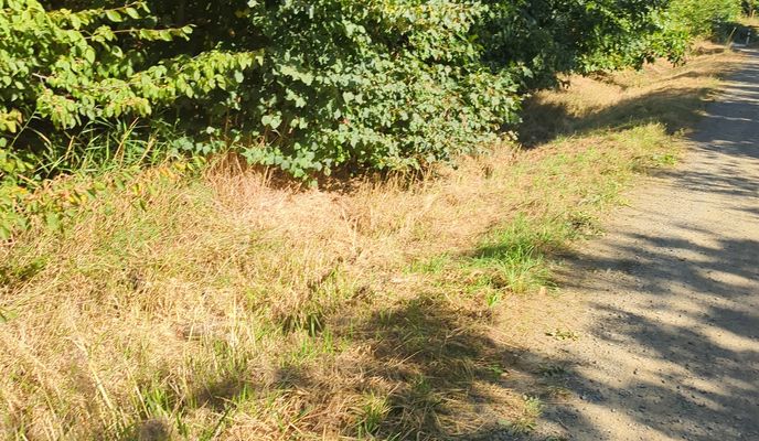 Zdjęcie 2 trasy Bikemap „Lange Straße nach Lange Straße”