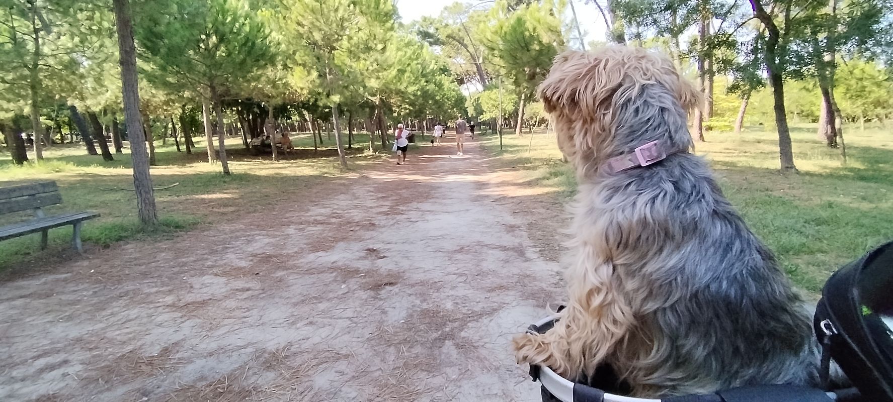 Via Alvise Cadamosto nach Via James Cook