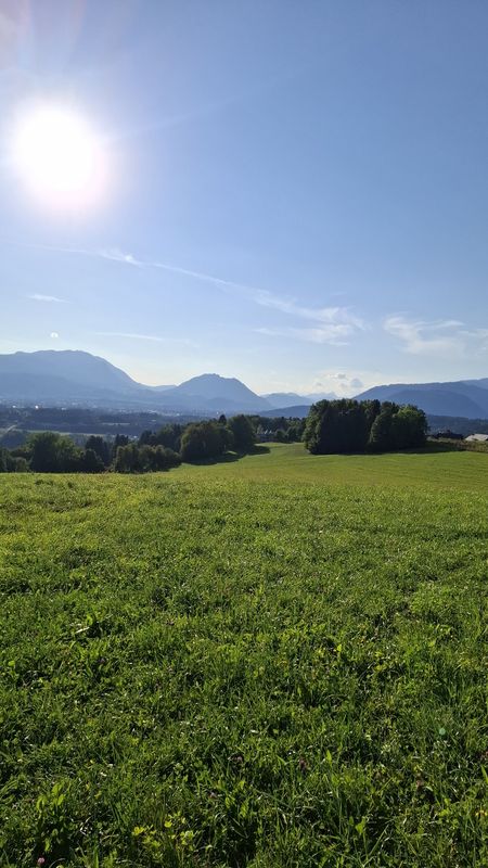 Trabeniger Straße nach Trabeniger Straße