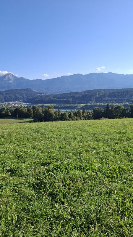 Trabeniger Straße nach Trabeniger Straße