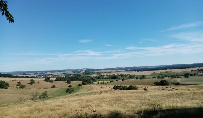 Zdjęcie 1 trasy Bikemap „Schleid Cycling”