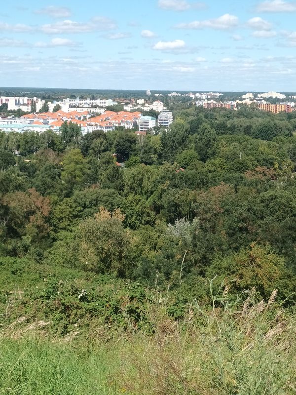 Rudolf-Wissell-Siedlung nach Maulbeerallee 35A