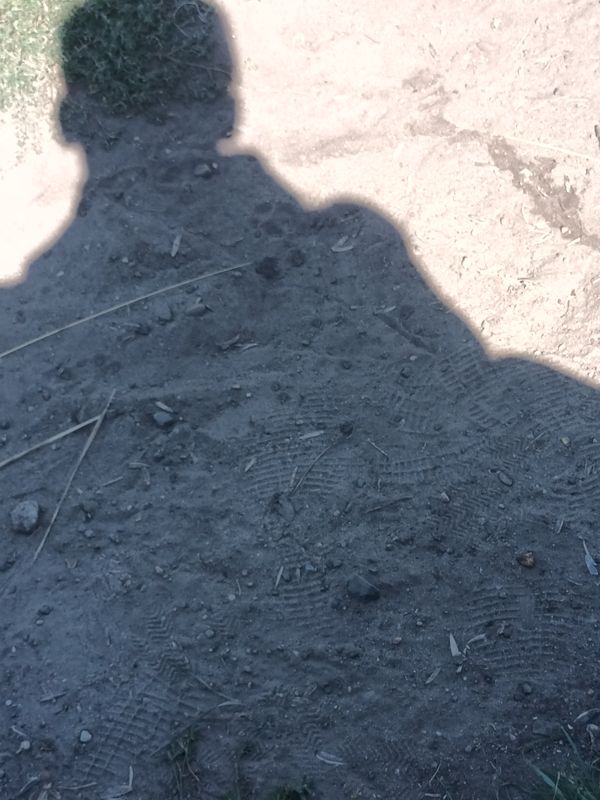 Rudolf-Wissell-Siedlung nach Maulbeerallee 35A