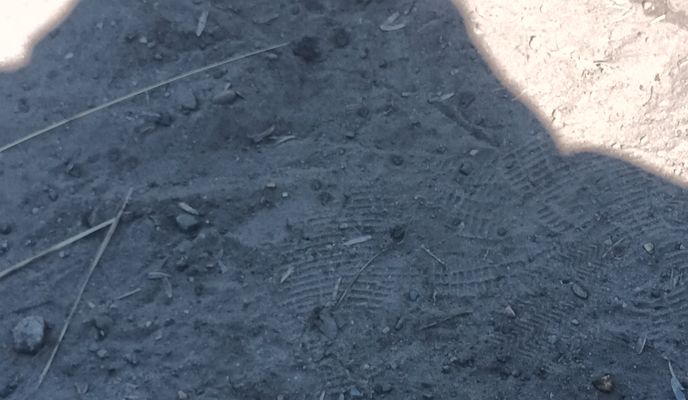 Foto 2 der Bikemap-Route "Rudolf-Wissell-Siedlung nach Maulbeerallee 35A" Foto 2 der Bikemap-Route "Rudolf-Wissell-Siedlung nach Maulbeerallee 35A"