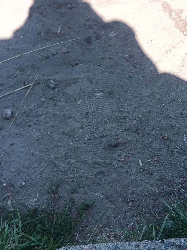 Rudolf-Wissell-Siedlung nach Maulbeerallee 35A