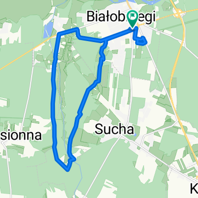 Rzemieślnicza, Białobrzegi do Rzemieślnicza, Białobrzegi