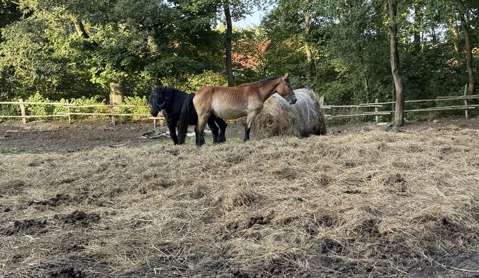 Zdjęcie 1 trasy Bikemap „Bartoszewo”