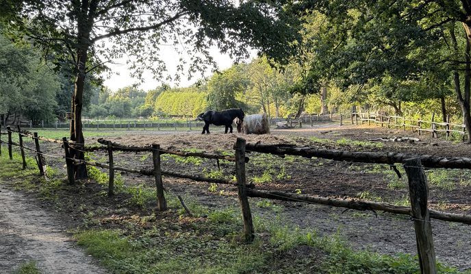 Zdjęcie 2 trasy Bikemap „Bartoszewo”