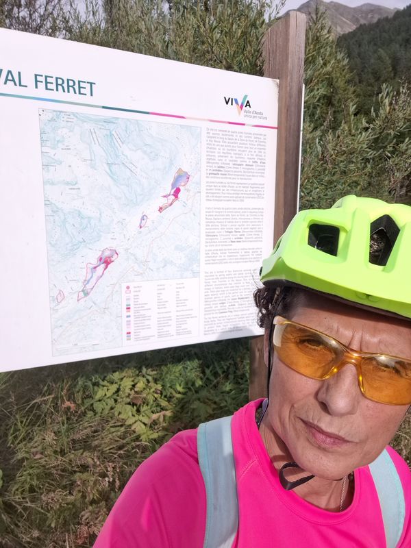 Da Località Planpincieux a G. Jorasses (20)