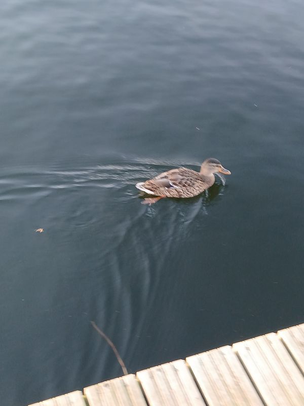 Loitsu tänav 3a to Loitsu tänav