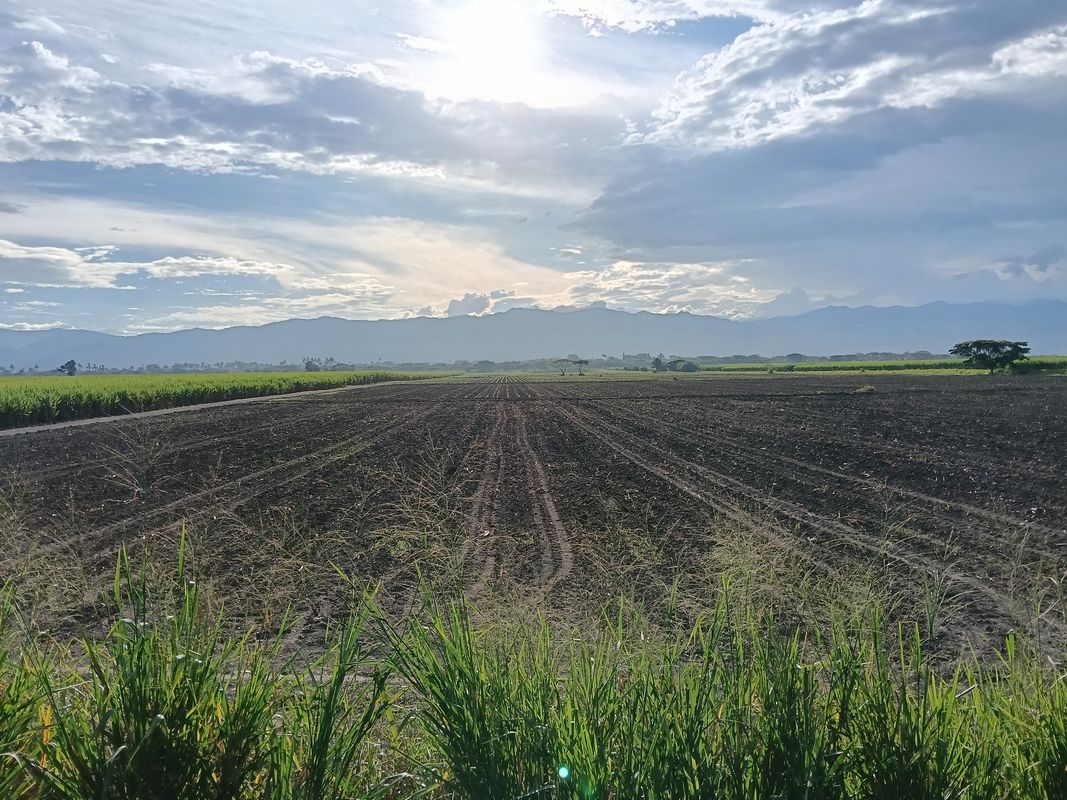 De Carrera la Primavera a Carrera la Primavera