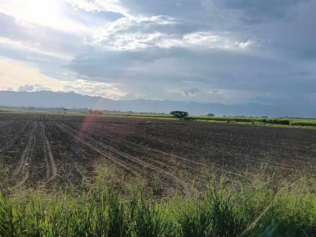 De Carrera la Primavera a Carrera la Primavera