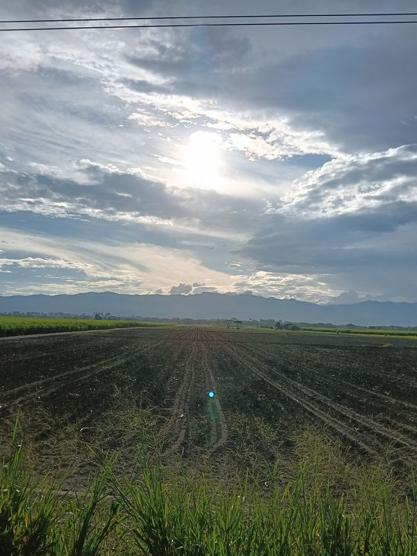 De Carrera la Primavera a Carrera la Primavera