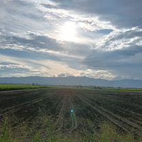 De Carrera la Primavera a Carrera la Primavera