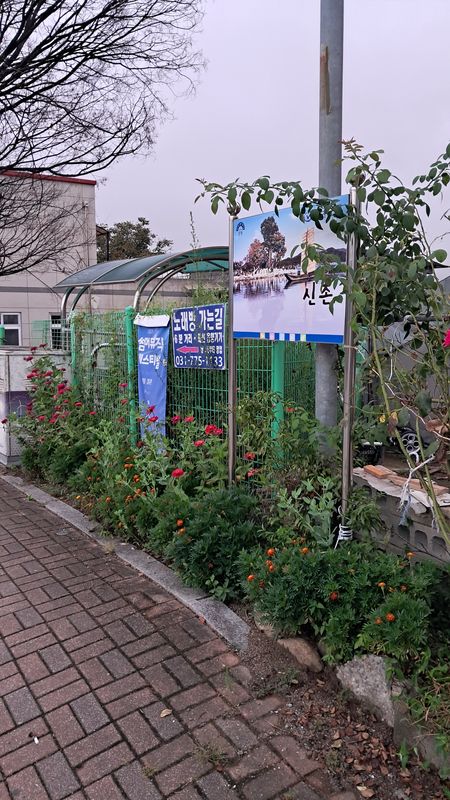 ์์๋ฉด 496-8 ~ ์กฐ์๋ฉด 285-6