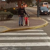 retorno 1er envío eco De Calle Carlos Porras Osores a Avenida Aviación -2420