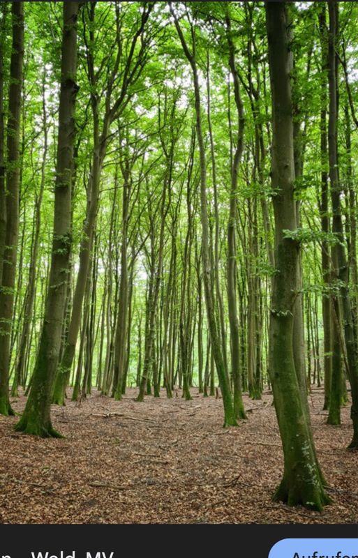 Otterloher Straße, Brunnthal nach Otterloher Straße, Brunnthal