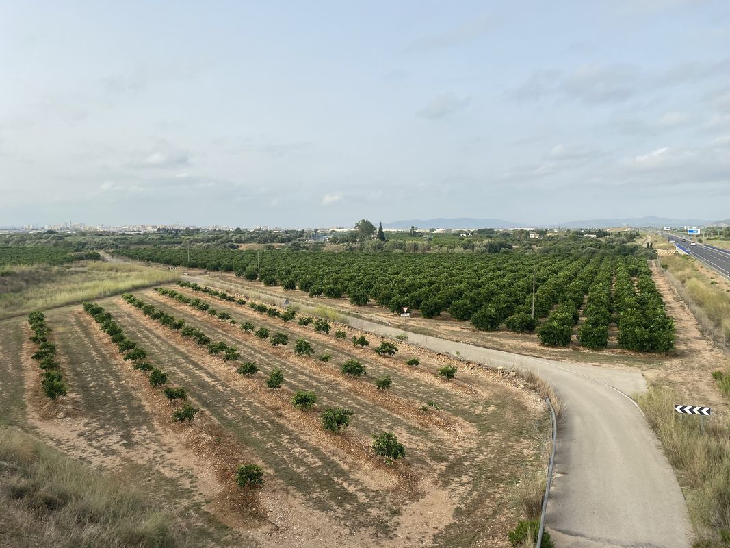 Carrer de la Cala del Puntal S, Vinaròs nach Carrer de la Cala del Puntal S, Vinaròs