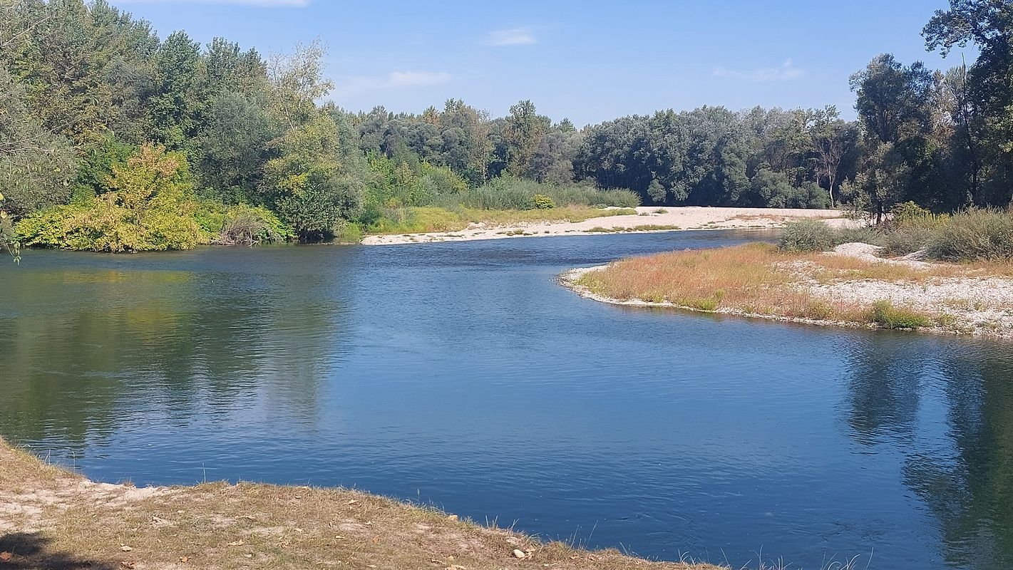 Ptujska cesta nach Ptujska cesta