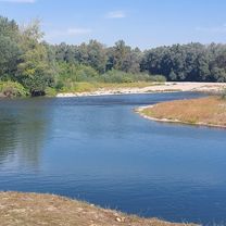 Ptujska cesta nach Ptujska cesta