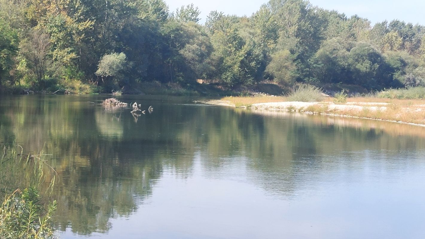 Ptujska cesta nach Ptujska cesta