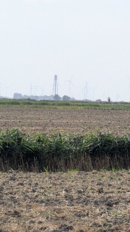 Seezungenweg nach Seezungenweg