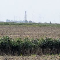 Seezungenweg nach Seezungenweg