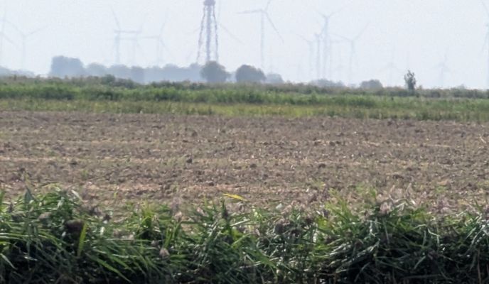 Foto 1 der Bikemap-Route "Seezungenweg nach Seezungenweg"