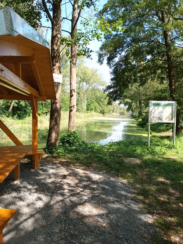 Route nach Unter den Kiefern 7a