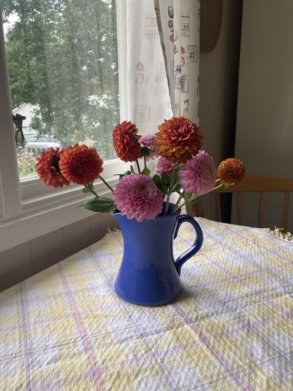 Särövägen, Kungsbacka to Sofies väg, Vallda