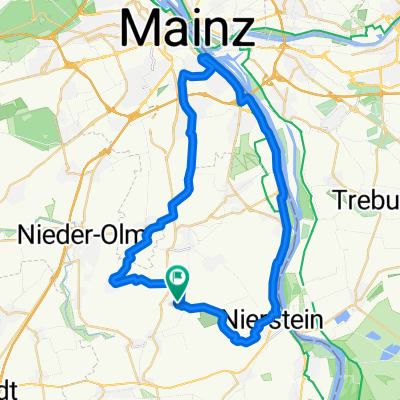 Mommenheim Mainz am Rheinufer